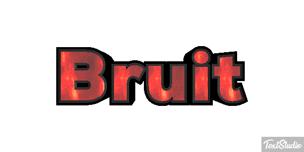 Bruit Text effect