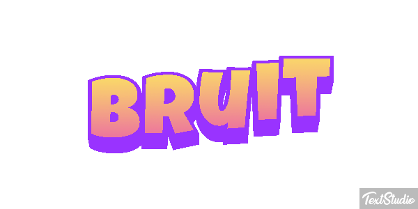 Bruit Text effect