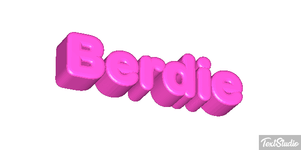 Berdie Text effect