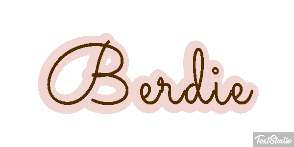 Berdie Text effect