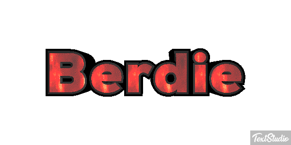 Berdie Text effect