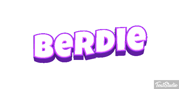 Berdie Text effect