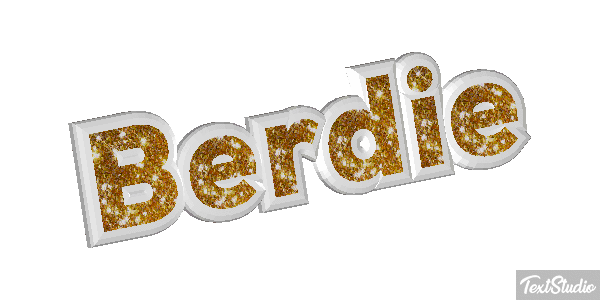 Berdie Text effect