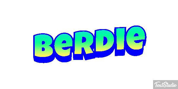 Berdie Text effect