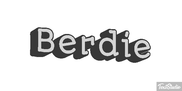 Berdie Text effect