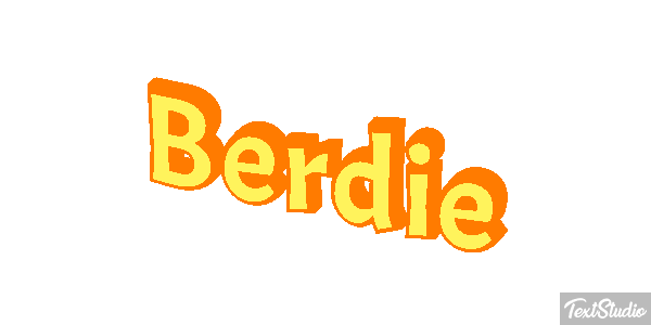 Berdie Text effect