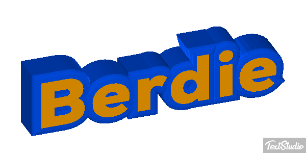Berdie Text effect