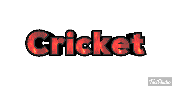 Cricket テキスト効果