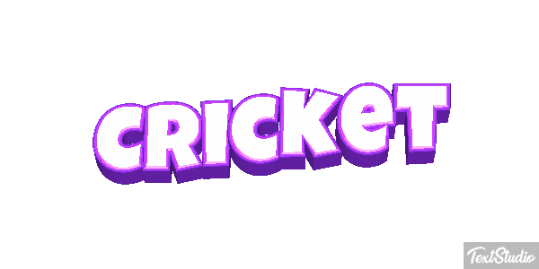 Cricket テキスト効果