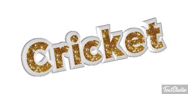 Cricket テキスト効果