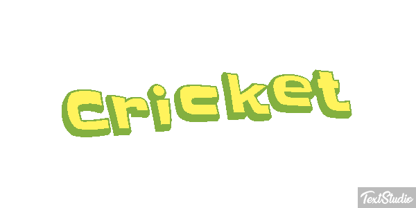 Cricket テキスト効果