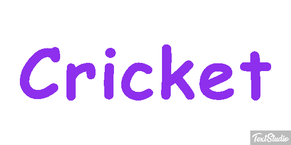 Cricket テキスト効果