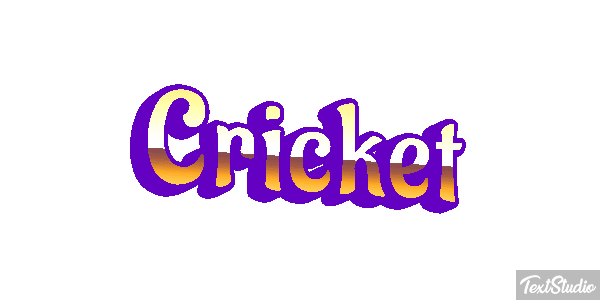 Cricket テキスト効果