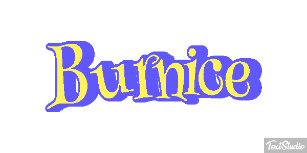 Burnice Text effect