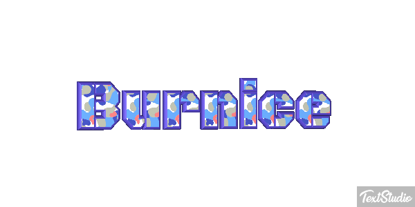 Burnice Text effect