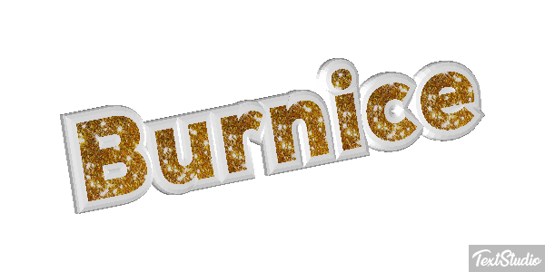 Burnice Text effect
