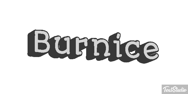Burnice Text effect