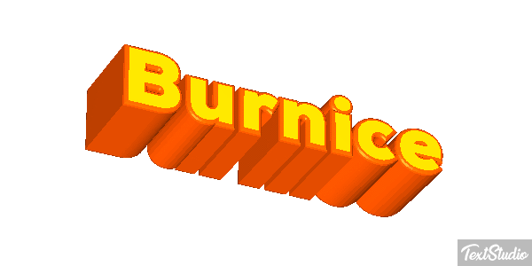 Burnice Text effect