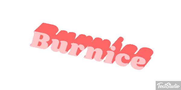 Burnice Text effect