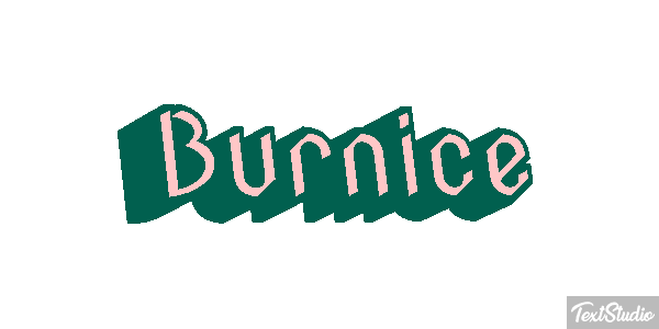 Burnice Text effect