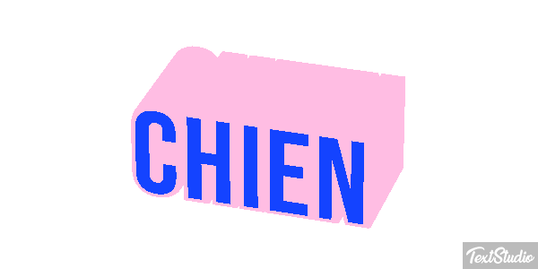 Chien Metin efekti