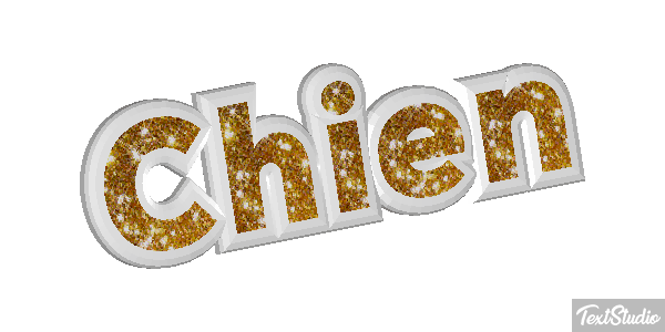 Chien Metin efekti