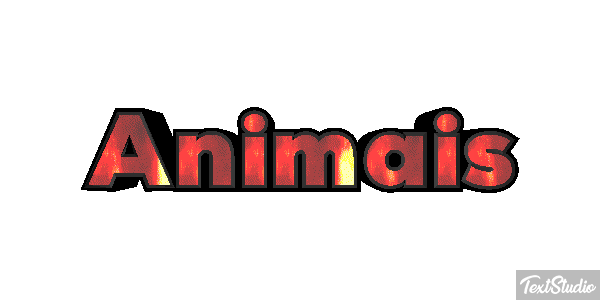 Animais Efeito do texto