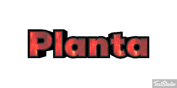 Planta Текстовый эффект