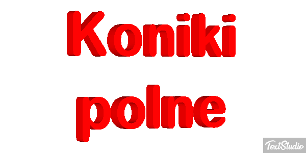 Koniki polne Efekt tekstowy
