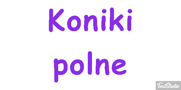 Koniki polne Efekt tekstowy