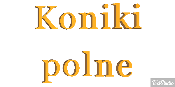 Koniki polne Efekt tekstowy