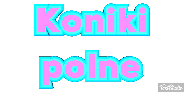 Koniki polne Efekt tekstowy