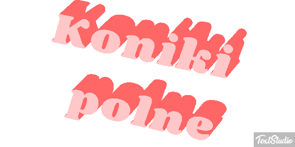 Koniki polne Efekt tekstowy