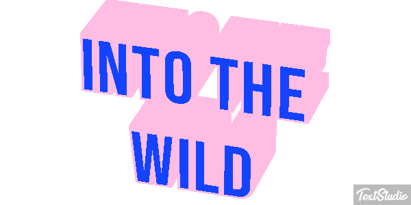 Into the Wild Texteffekt