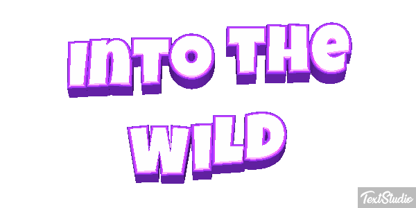 Into the Wild Texteffekt