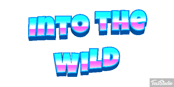 Into the Wild Texteffekt