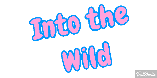 Into the Wild Texteffekt