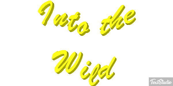 Into the Wild Texteffekt