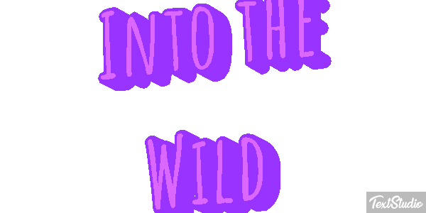 Into the Wild Texteffekt