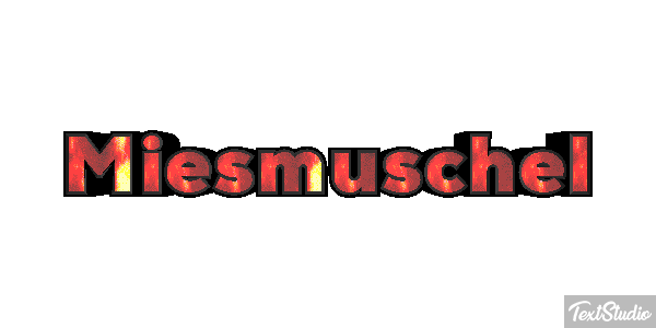 Miesmuschel Effetto testo