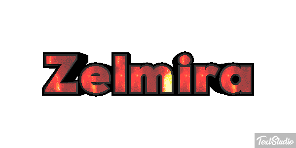 Zelmira Effetto testo