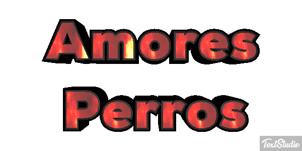 Amores Perros Текстовый эффект