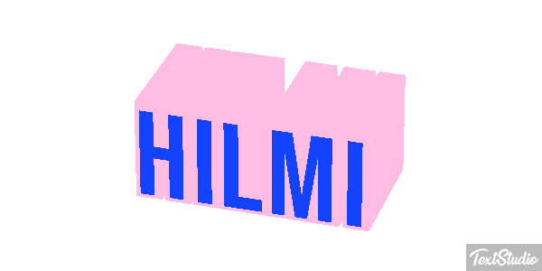 Hilmi Metin efekti