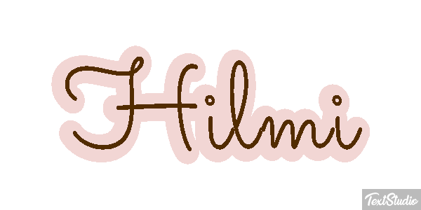 Hilmi Metin efekti