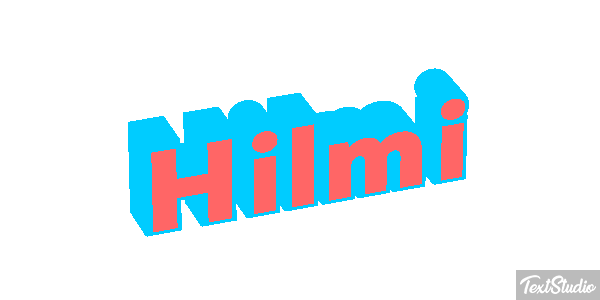 Hilmi Metin efekti