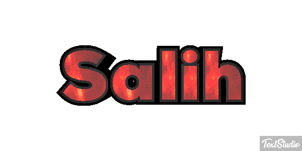 Salih Metin efekti