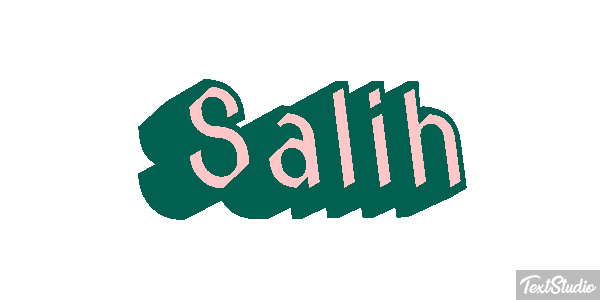 Salih Metin efekti