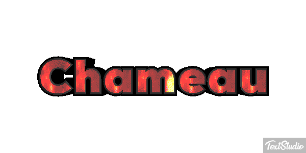 Chameau Effet de texte
