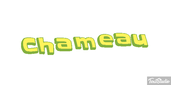 Chameau Effet de texte