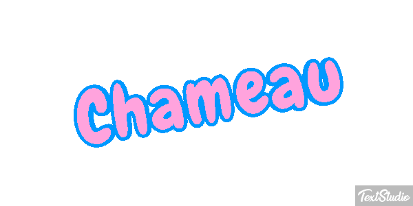 Chameau Effet de texte